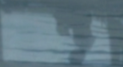 Camera anima